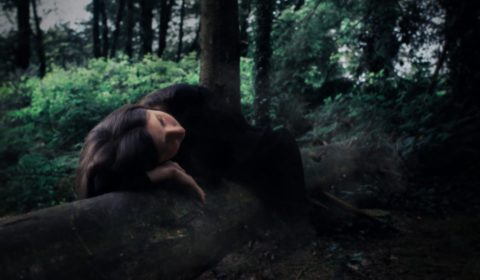 wood-fairytale