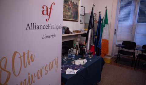 MERMIER - Exhibition photo Culture Night Limerick (29)
